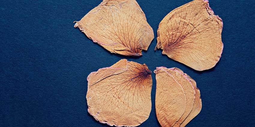 Flores secas com joias de luxo e autorais feito pelo designer Renato Peres